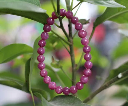 Chuỗi ruby hạt vát nhiều mặt A+++++ (46.1gr) FS6759-F2-9635