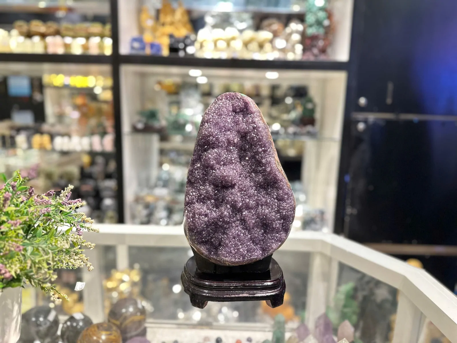 Bông thạch anh tím lớn (tick xanh) H097-31185